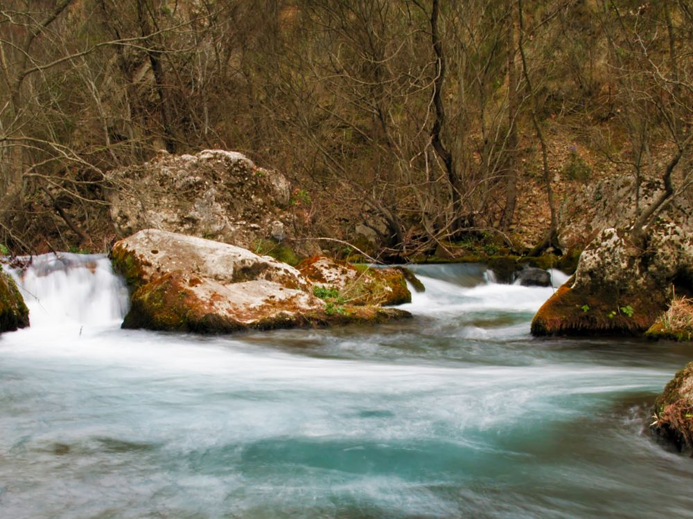 Lousios river, Lousios gorge, Peloponnese