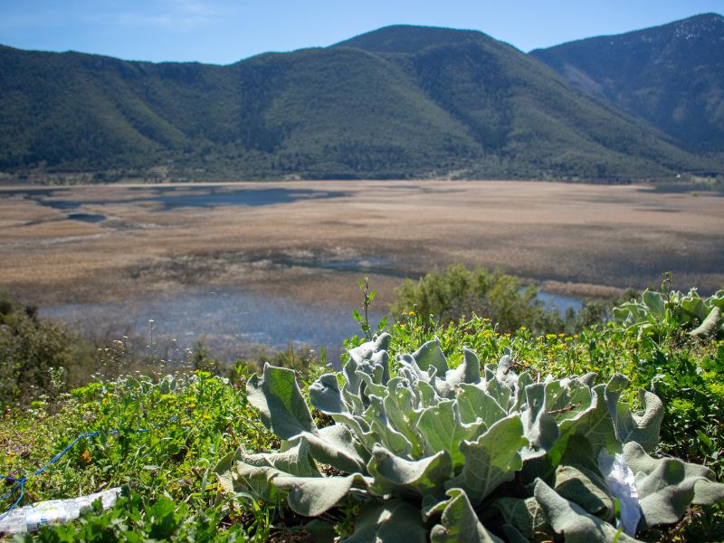 Stymfalia Lake