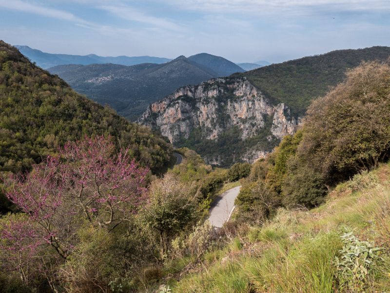 Lousios Gorge