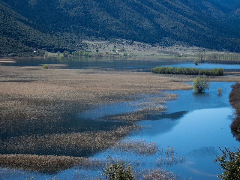 Stymfalia Lake