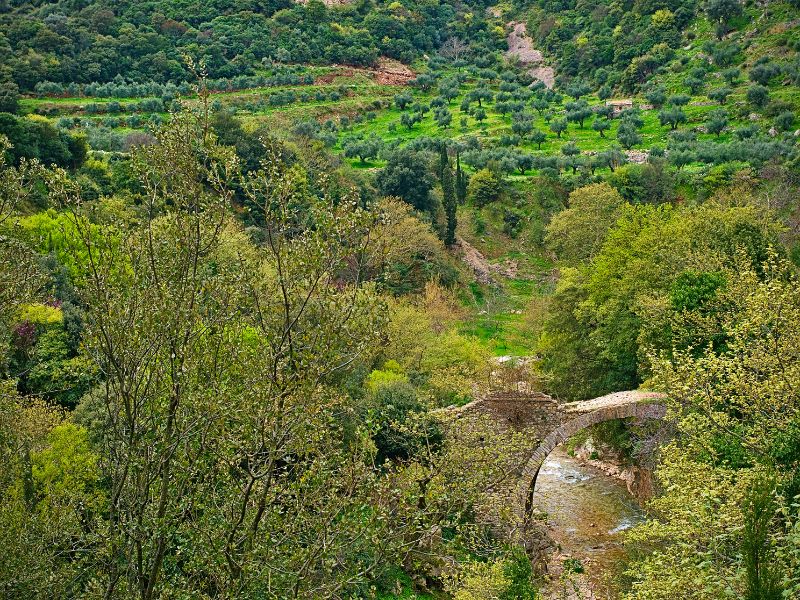 Neda River Valley