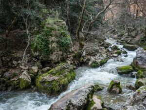 Vouraikos Gorge