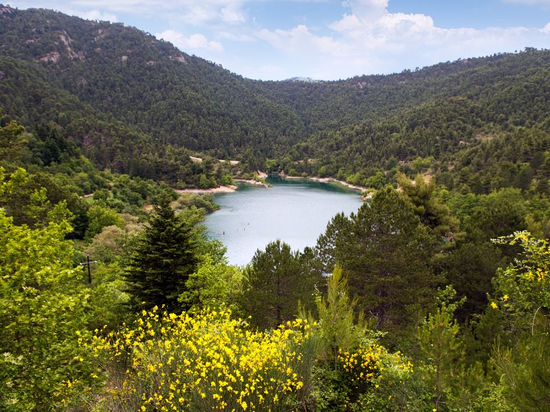 Lakes and Wetlands of Peloponnese